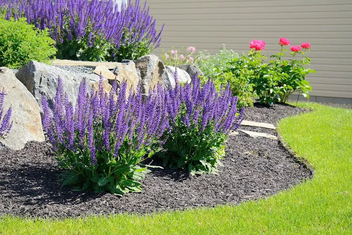 VibrantViews Landscaper Picture 5