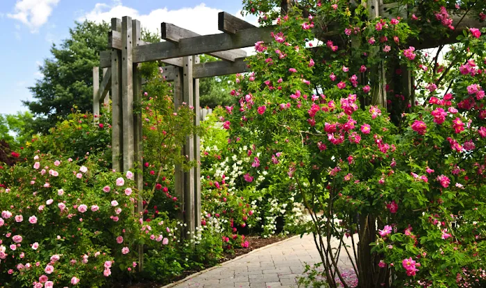 VibrantViews Landscaper Picture 1