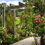 VibrantViews Landscaper