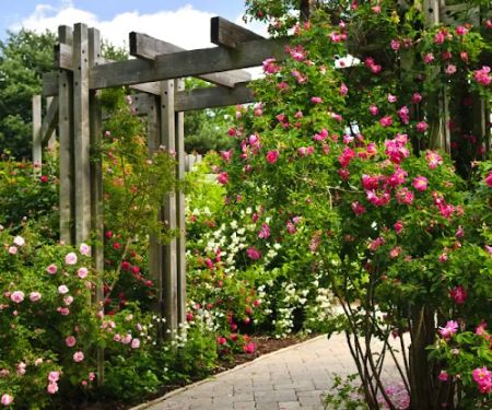 VibrantViews Landscaper