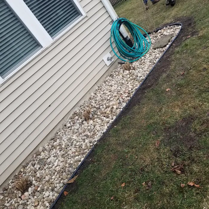 Pepe's Tree Service Inc Picture 5