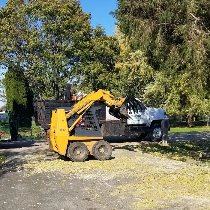 Pepe's Tree Service Inc Picture 6