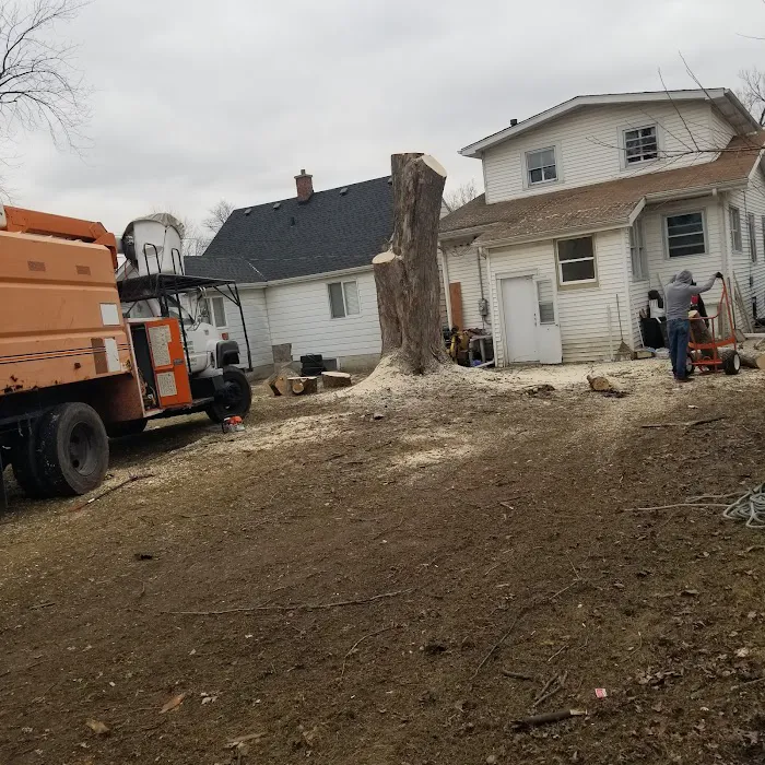 Pepe's Tree Service Inc Picture 9