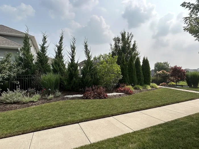 Plandscape LLC Picture 8