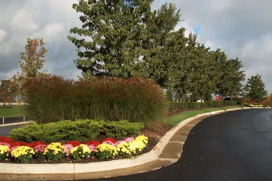 Seasonal Concepts Landscaping Contractors, Inc. Picture 4
