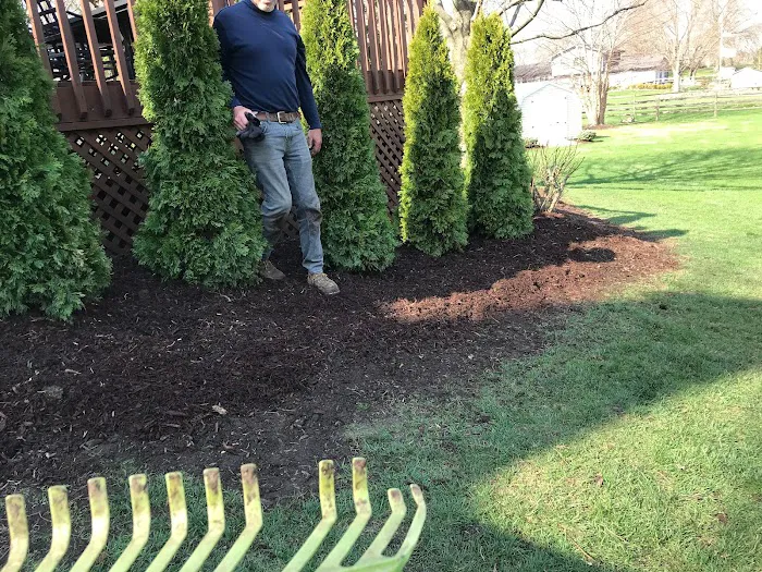 Clausen Landscape & Design Picture 3