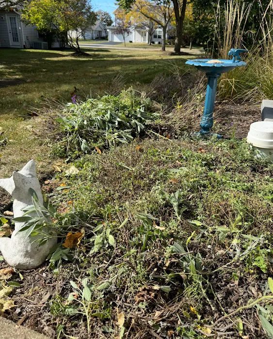 Not Just Grass Landscaping Picture 1
