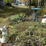 Not Just Grass Landscaping