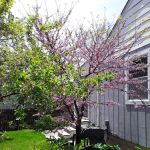 Clauss Brothers, Inc.