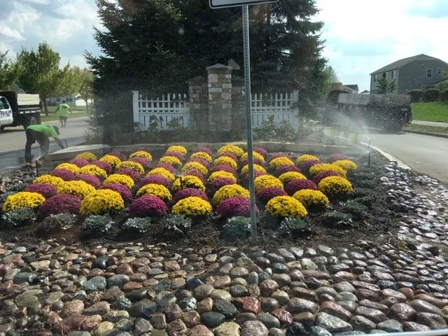 Prime Cut Lawn Care Picture 8