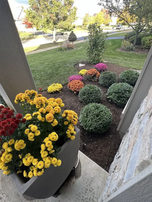 Prime Cut Lawn Care Picture 9