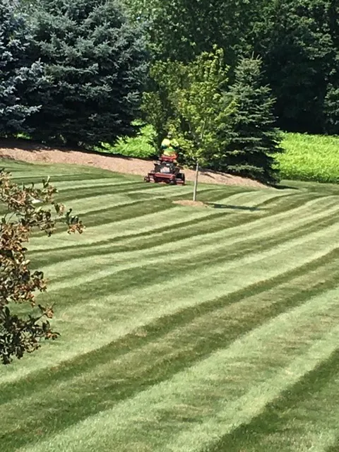 Prime Cut Lawn Care Picture 10