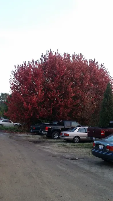 Groh Works Landscaping Picture 3