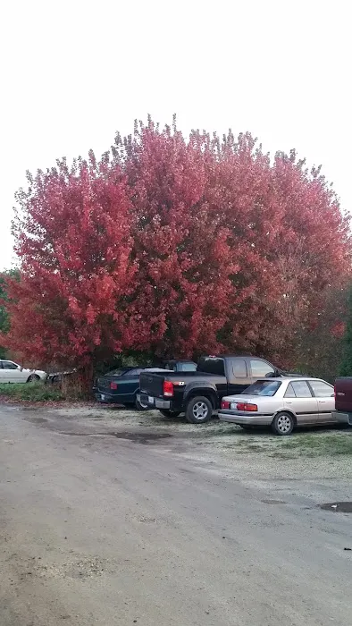 Groh Works Landscaping Picture 4