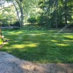 Allscape Services