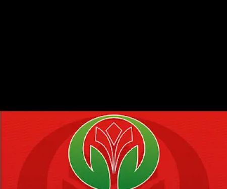 Villastone Group Inc