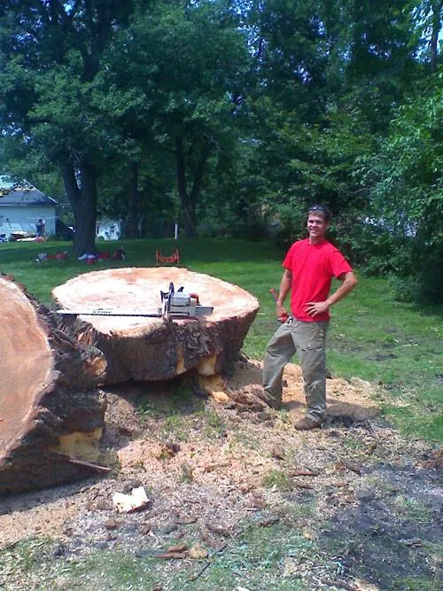 Tomasello's Landscaping Picture 4