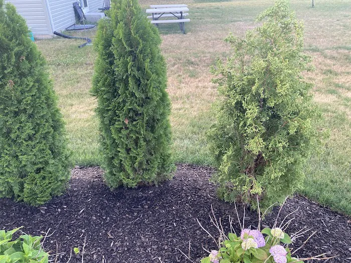 River Land Landscaping Inc Picture 5