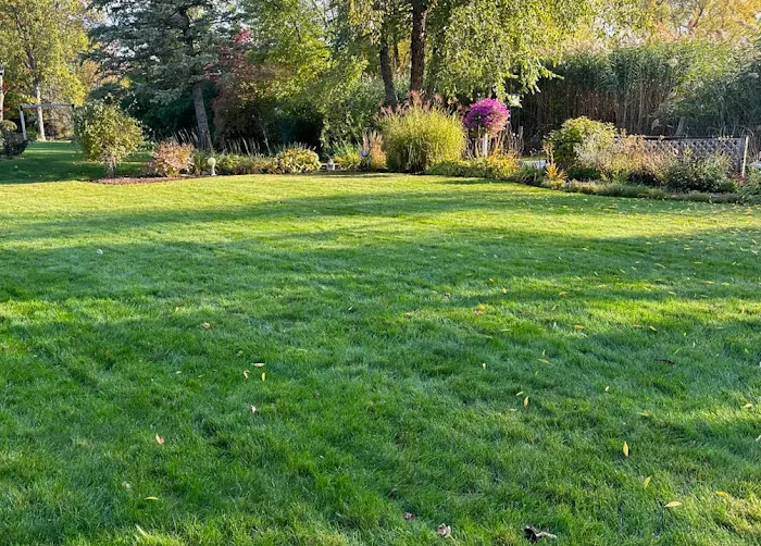 Weed Man Lawn Care Picture 5