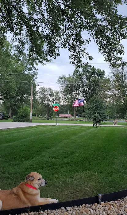 Weed Man Lawn Care Picture 2