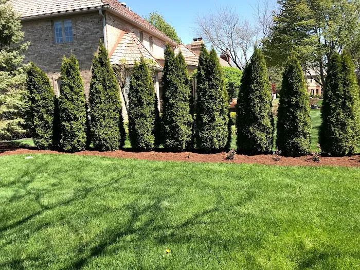Green Concepts Landscaping Inc Picture 10