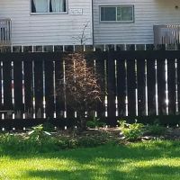 Brothers Landscaping Inc ico