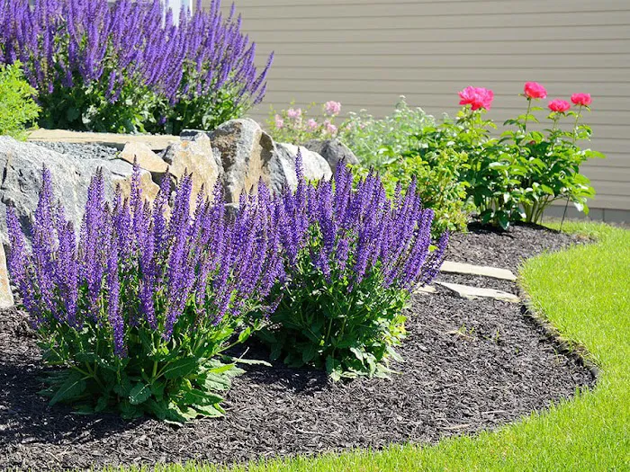 Ivan's Landscaping & Snow Removal Corp. Picture 3