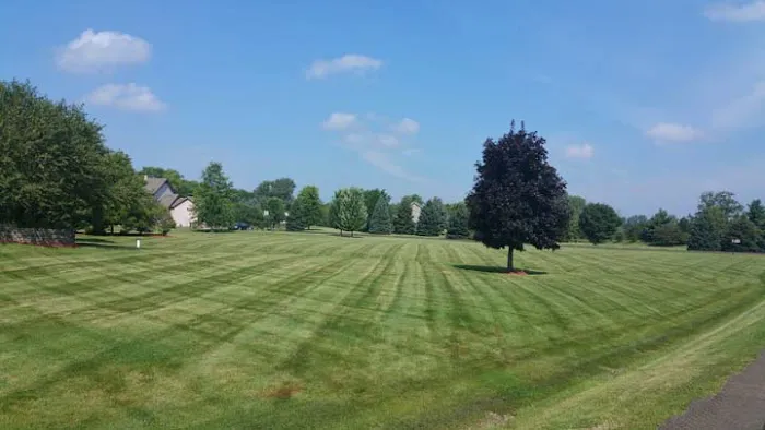 Ivan's Landscaping & Snow Removal Corp. Picture 7