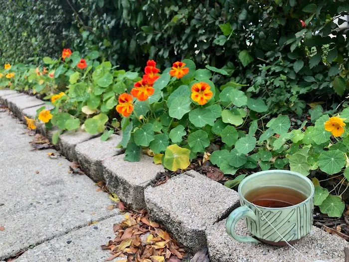 Small Boots Gardening Picture 9