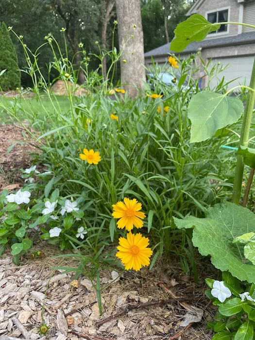 Small Boots Gardening Picture 10