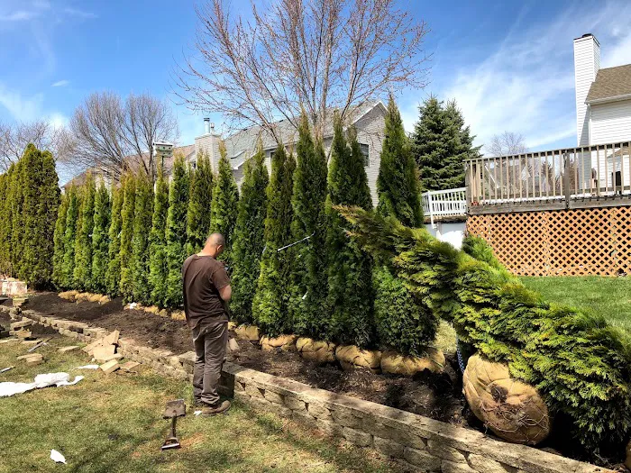 Perez & Sons Lawn Care Inc. Picture 7