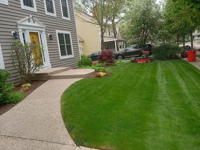 Bernal’s Landscaping Picture 1