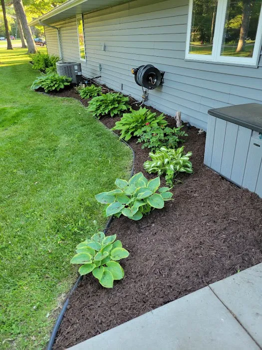 Villagomez landscaping Picture 1