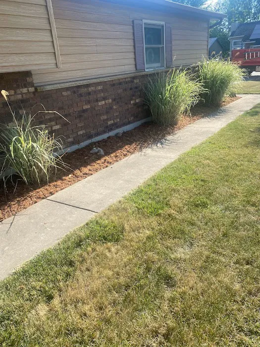 Villagomez landscaping Picture 2