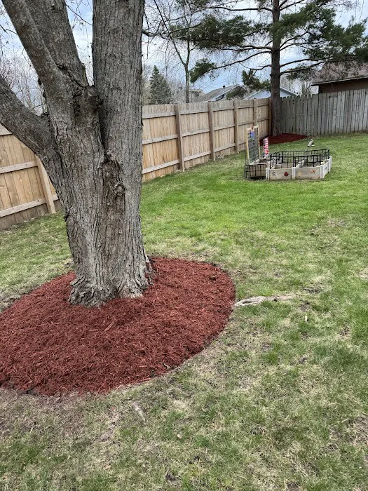 Villagomez landscaping Picture 8