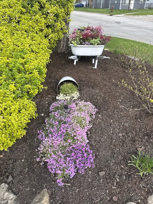 Villagomez landscaping Picture 3