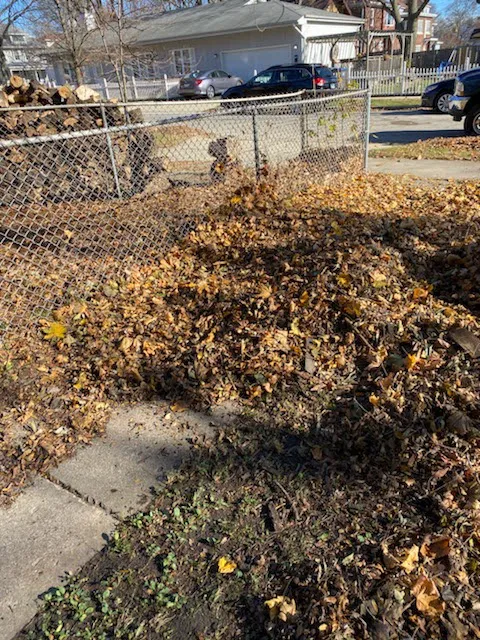 Villagomez landscaping Picture 5