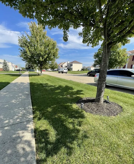 Chris's Landscaping Picture 4