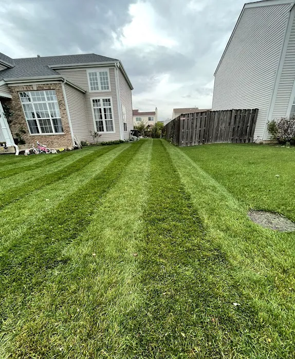 Chris's Landscaping Picture 9