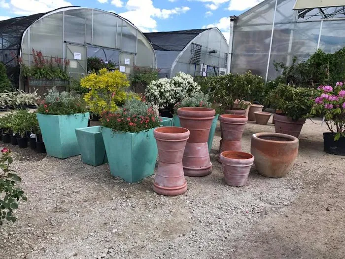 Craig Bergmann Landscape Design, Inc. Nursery Picture 3