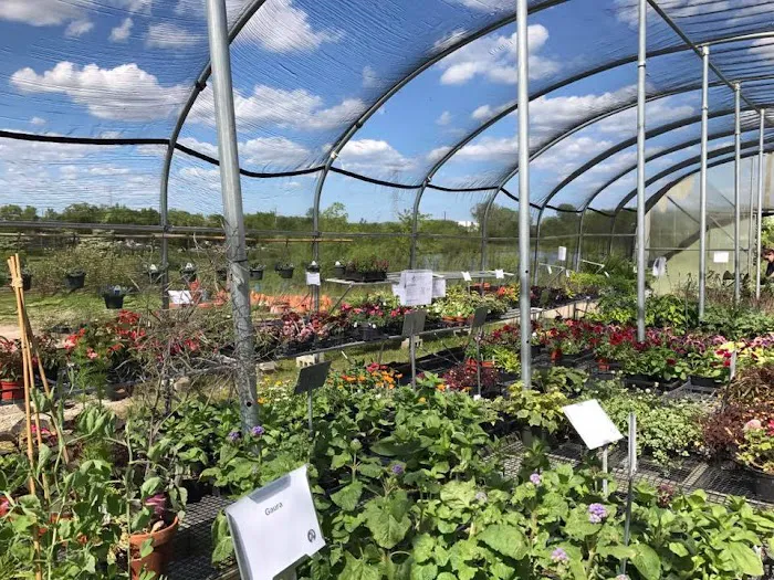 Craig Bergmann Landscape Design, Inc. Nursery Picture 1