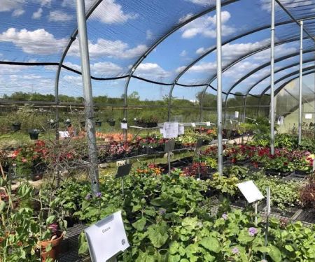 Craig Bergmann Landscape Design, Inc. Nursery