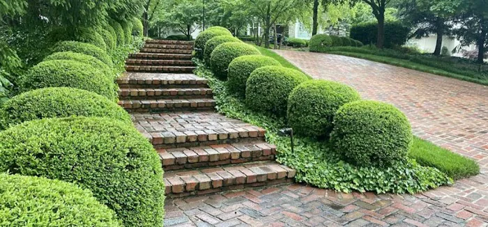 J/M Lanscaping Picture 3