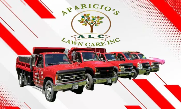 Aparicio’s Lawn Care Inc Picture 7