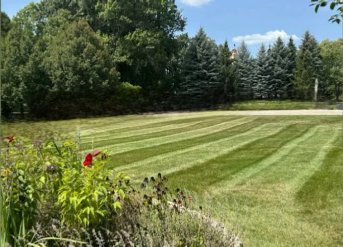 Aparicio’s Lawn Care Inc Picture 4