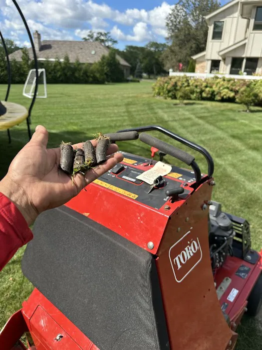 Aparicio’s Lawn Care Inc Picture 5