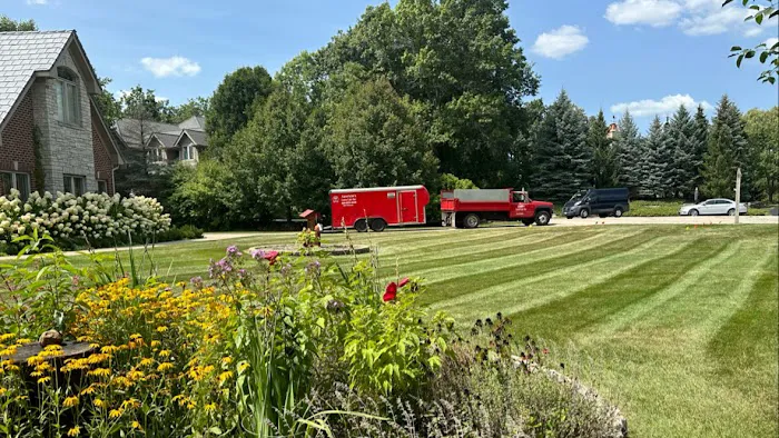 Aparicio’s Lawn Care Inc Picture 6