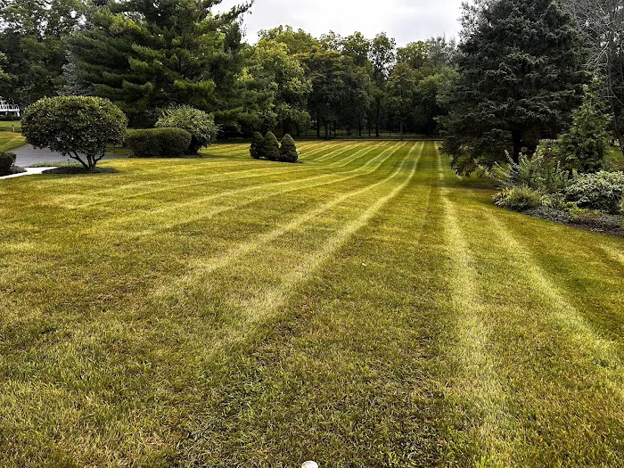 Rosas Landscape Picture 3