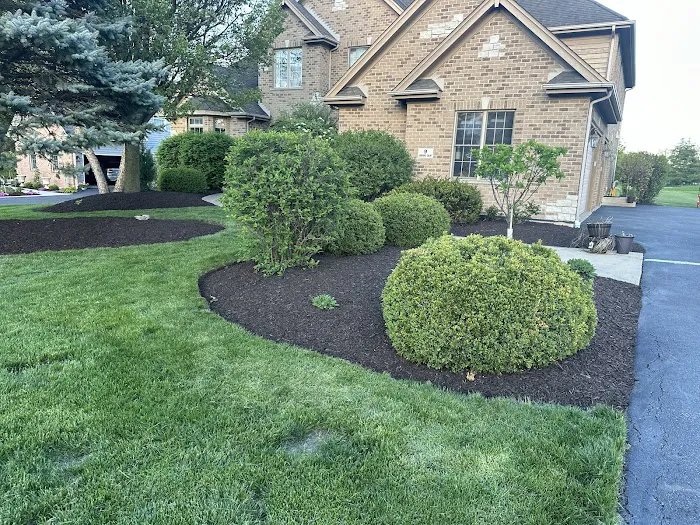 Rosas Landscape Picture 4