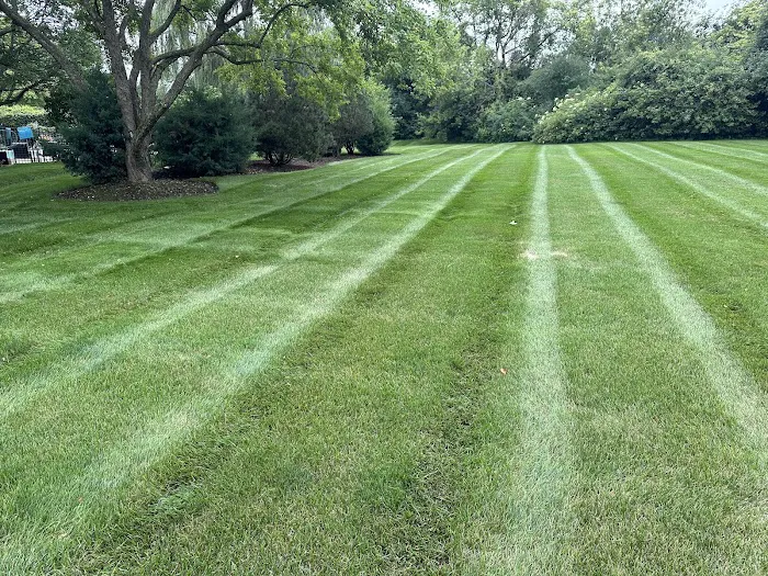 Rosas Landscape Picture 10